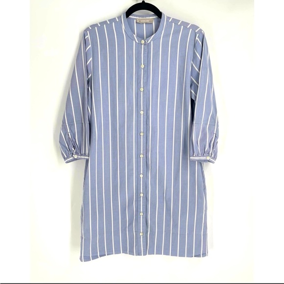 Everlane Dresses & Skirts - Everlane Blue & White Striped 100% Cotton Button Mini Shirt Dress Size 6